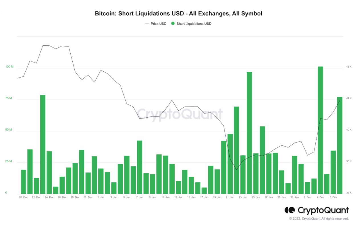 Bitcoin (brevemente) supera los $ 45k a medida que aumentan las liquidaciones cortas;  esto es lo que sigue