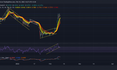 Análisis de precios de XRP, Tron, Chiliz: 10 de febrero