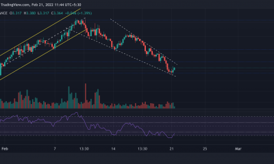 Análisis de precios de Tezos, Ethereum Classic, EOS: 21 de febrero