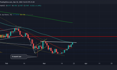 Cardano a $1: ¿cuál podría ser la trayectoria del precio?