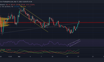 Avalancha, Bitcoin Cash, análisis de precios de flujo: 17 de marzo