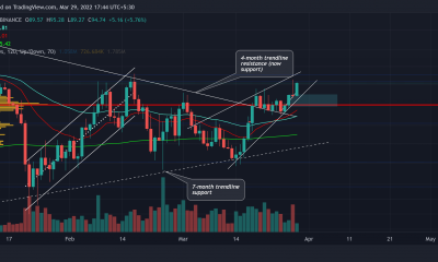 avalancha [AVAX]: Mapeo de las probabilidades de una tendencia alcista continua