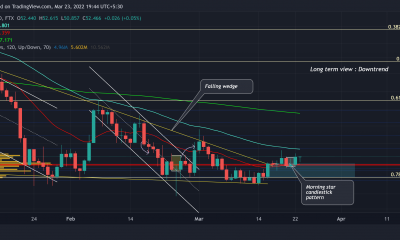 axie infinito [AXS]: Evaluación del verdadero potencial de la tendencia alcista de altcoin