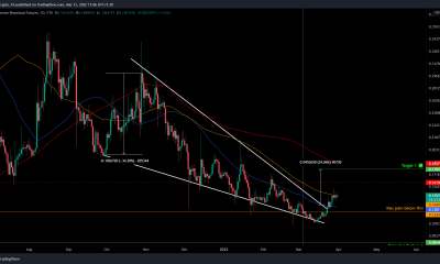 DOGE: este patrón alcista en el gráfico es un buen augurio para la moneda con temática de perro OG