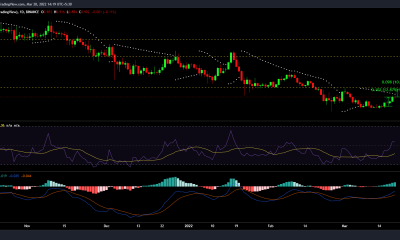 Cardano, sus ballenas y lo que pueden hacer para llevarlo a $1