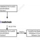 Decodificando el si, pero y así de 'Cashio Hack'