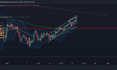 Los alcistas de Litecoin deben estar atentos a estas divergencias en la acción del precio