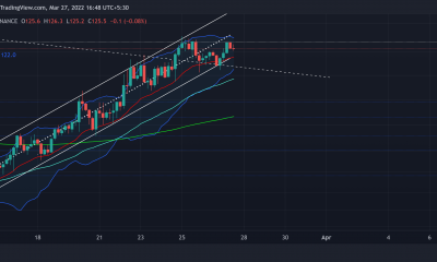 Litecoin podría ver estos niveles antes de continuar con su rally actual