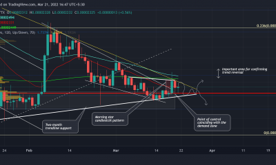 Shiba Inu: Midiendo el verdadero potencial de todavía HODLing SHIB