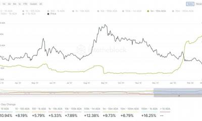 Continúa la fase de acumulación para Cardano;  ¿Deberían los titulares de ADA prepararse para la corrida de toros?