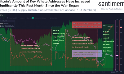 Nuevos datos apuntan a un renovado optimismo en Bitcoin, pero hay una advertencia