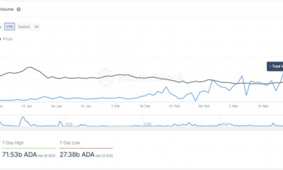 Que nuevo Cardano [ADA] los datos nos hablan de la actividad de las ballenas