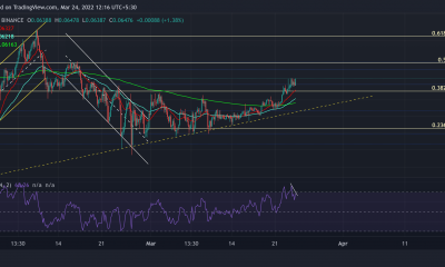 Análisis de precios de Tron, Decentraland, Axie Infinity: 24 de marzo