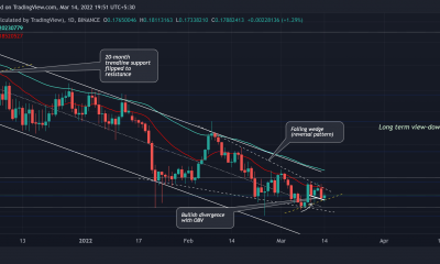 Para HODL o no, ¿qué dicen realmente los gráficos de Stellar?