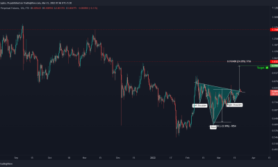 Las ballenas de XRP y qué papel jugarán en el período previo a $ 1 y más