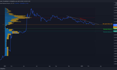 Dogecoin: A la luz de esto, ¿deberían los inversores estar en un modo de aversión al riesgo?