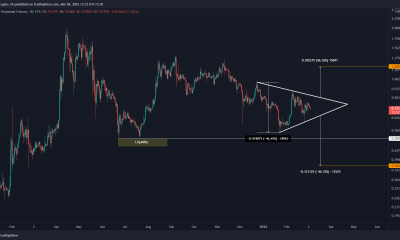 Las ballenas continúan acumulando XRP;  es el momento adecuado para entrar en el mercado