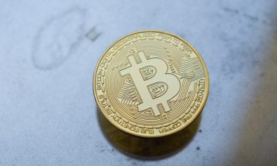 Decodificando lo que BTC significa para las tortugas, los cerdos y los lobos al dejar los criptointercambios