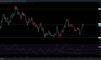 Esta altcoin pronto podría ser APE-ing para recuperarse en un 20%