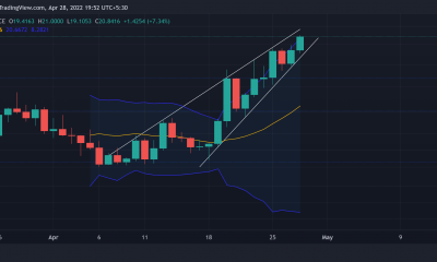 ApeCoin: evaluación de las probabilidades de una reversión después de un repunte de casi el 90% en 10 días