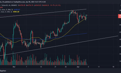 Bitcoin: Razones por las que BTC se mantiene fuerte por encima de $ 45,000