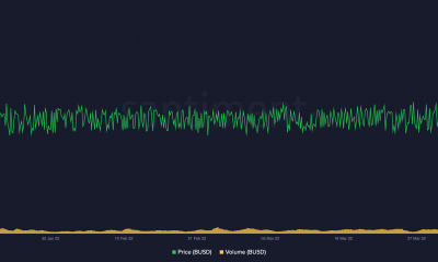 Terra USD [UST] voltea Binance USD [BUSD] en capitalización de mercado, pero aquí está la advertencia