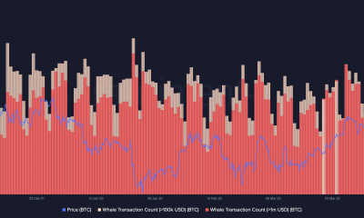 Cómo reaccionan las ballenas BTC, ETH y USDT a la invasión rusa de Ucrania