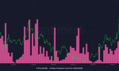 Musk manifiesta Twitter como Dogecoin, ELON se vuelve loco mientras SHIB duerme la siesta