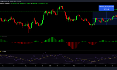 Evaluando cómo NEAR volteó Litecoin con su reciente rally