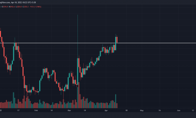 Monero: lo que significa la rápida recuperación de XMR en medio de una tendencia bajista más amplia del mercado