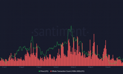 Litecoin: ¿Por qué los tenedores más ricos se están moviendo alrededor de LTC de repente?