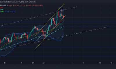 Cómo esta divergencia podría afectar la acción del precio a corto plazo de NEAR