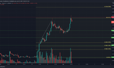 Zilliqa ha visto un retroceso a un nivel de soporte, es probable que haya más alzas