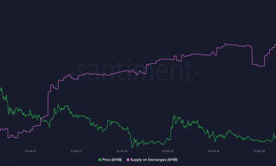 SHIB, ETH twerking mientras Reddit atribuye llamadas de compra en busca de un nuevo nivel de resistencia