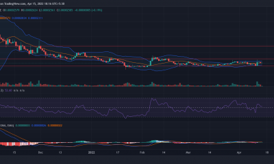 ¿Está el papel de 'James Bond' de Shiba Inu eclipsando a otras altcoins?