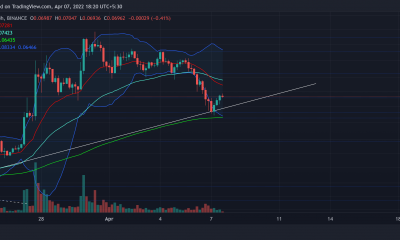 VeChain: La guía para inversores antes de entrar en una posición