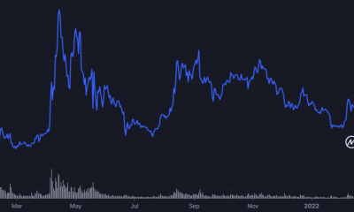 'Ripple está operando como si ya hubiera perdido'- ¿Qué podría significar esto para XRP?