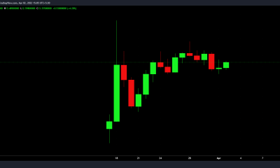 ApeCoin pierde el sueño por el hackeo de Discord de BAYC que le costó un mutante desaparecido