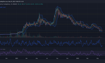 Cardano [ADA] los inversores deben saber esto antes de saludar a Hoskinson