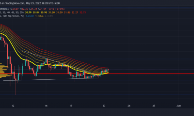 Avalanche: ¿AVAX ya está listo para despegar?  ¿Debería seguir HODL o vender