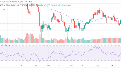 Moneda de Binance: esto es lo que significa un aumento en la actividad de las ballenas para los inversores de BNB