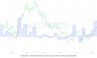 ¿La redistribución de Bitcoin obtuvo lo mejor de BTC hizo millonarios?