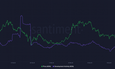 Cardano [ADA] los titulares deben saber esto mientras continúan luchando en un 'baño de hielo frío'