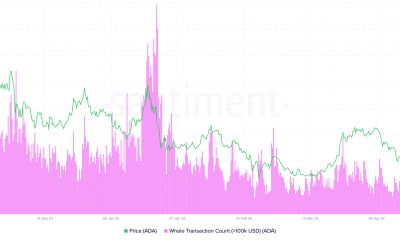 Cardano [ADA] los inversores deben saber que las ballenas han estado activamente...