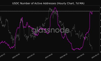 Los nuevos datos sobre la actividad de las monedas estables dicen esto sobre el sentimiento del mercado