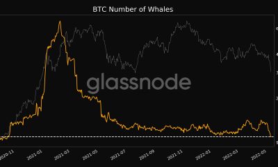 Bitcoin: el baño de sangre del mercado de criptomonedas continúa cuando BTC toca el rango de $ 26k