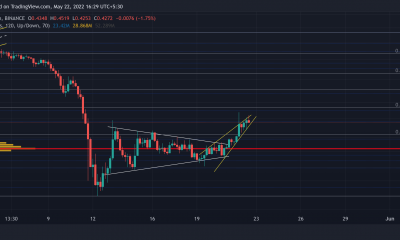 Can Fantom´s [FTM] el aumento reciente cercano al 19% mejora sus perspectivas a largo plazo