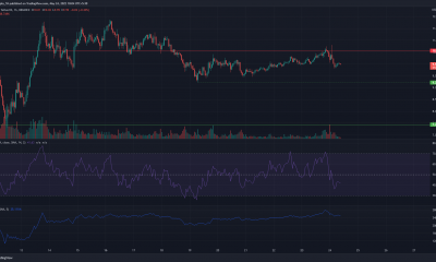 Análisis de precios de Polkadot, TRON y Loopring: 24 de mayo