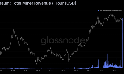 Ethereum: ¿Esquema Ponzi u oportunidad genuina?  Usuarios cautelosos ante aumento de tarifas de gas