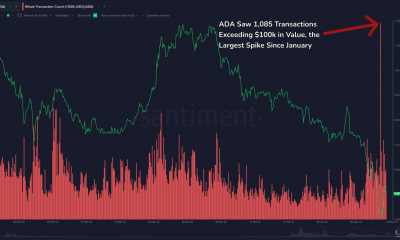 Cardano: después de la venta masiva, ¿qué tienen que decir estas métricas en cadena sobre el futuro de ADA?